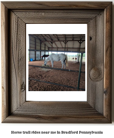 horse trail rides near me in Bradford, Pennsylvania